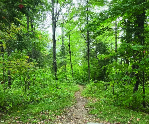 More miles, more connections: Michigan Trails Week has arrived